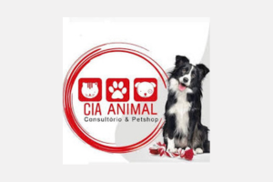 Design sem nome (24)